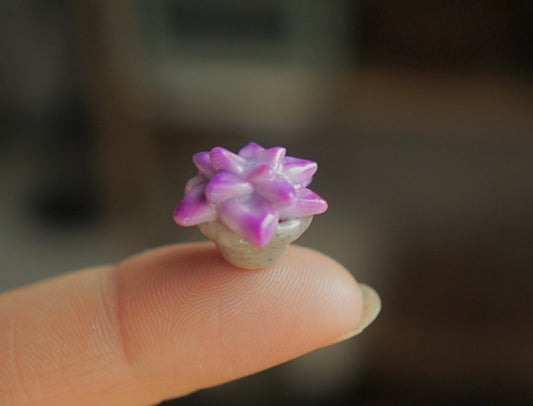 Succulent magnet - polymer clay