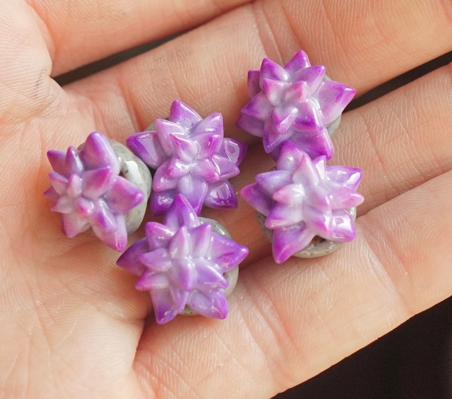 Succulent magnet - polymer clay