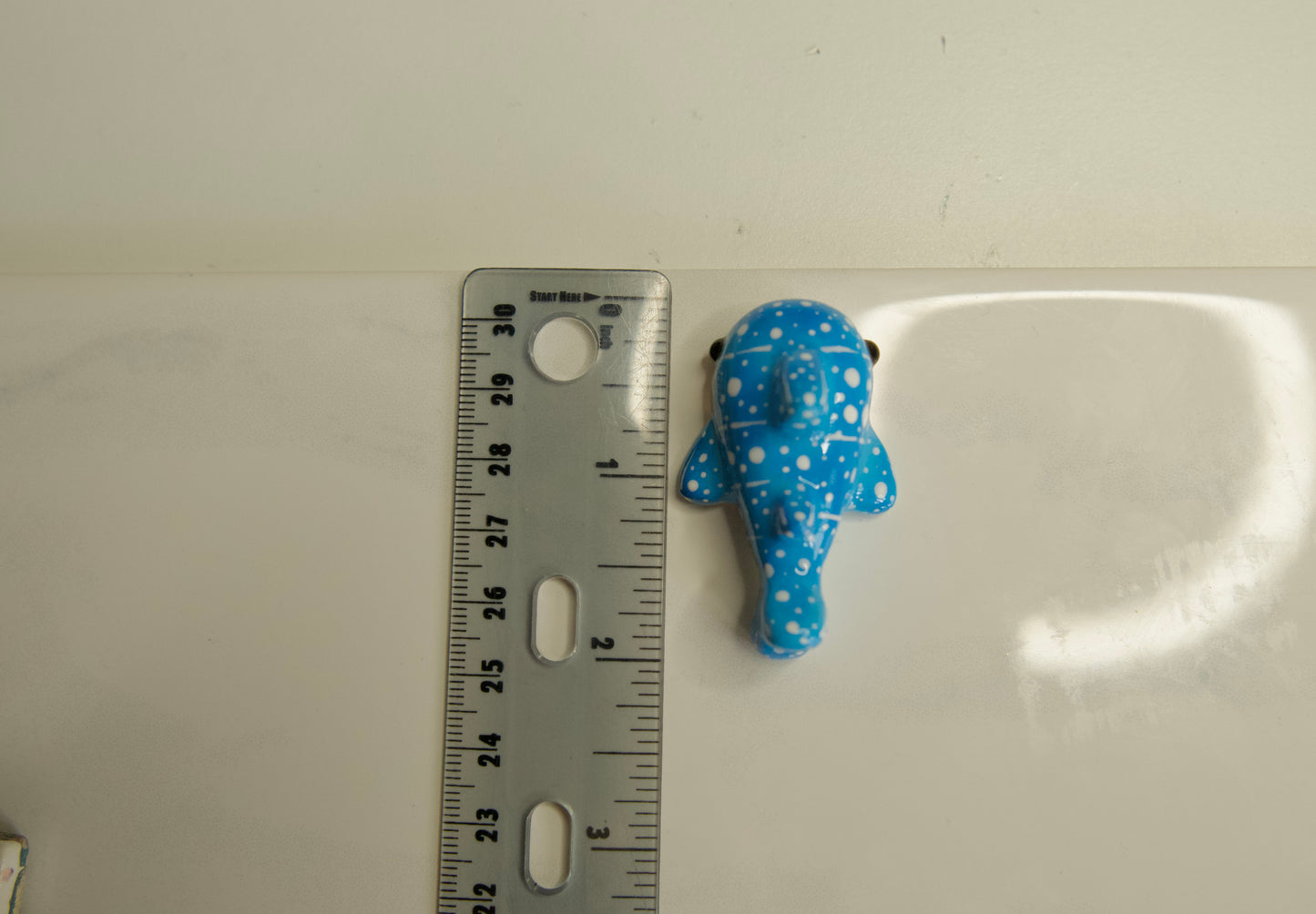 Classic Whale Shark (non-magnetic)